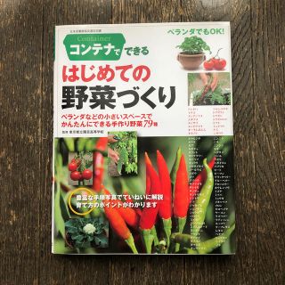 コンテナでできるはじめての野菜づくり ベランダなどの小さいスペ－スでかんたんにで(趣味/スポーツ/実用)