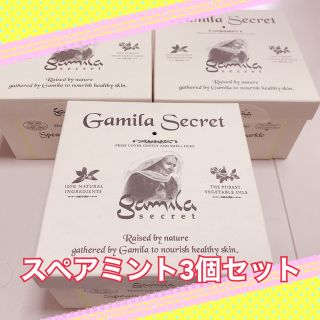 コスメキッチン(Cosme Kitchen)のガミラシークレット スペアミント IKKOさんオススメ 3個セット(洗顔料)