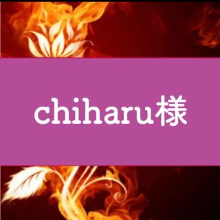 chiharu様専用･.｡*･.｡*(その他)