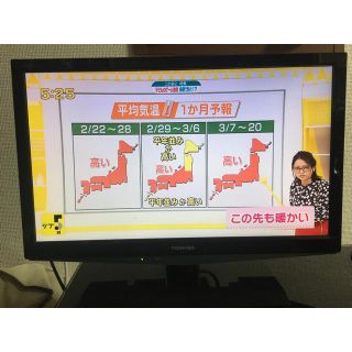 トウシバ(東芝)の美品 東芝 レグザ 19インチ TOSHIBA LED REGZA 19B5(テレビ)