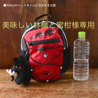 マムート(Mammut)のマムートのリュック(リュックサック)