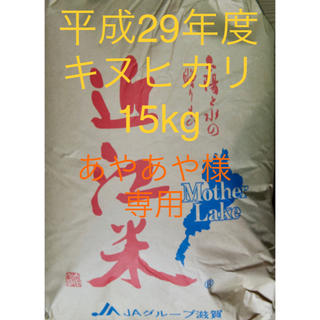 平成29年度産　キヌヒカリ　15kg 玄米(米/穀物)