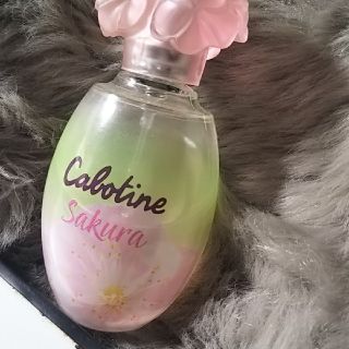 カボティーヌ SAKURA  USED(香水(女性用))