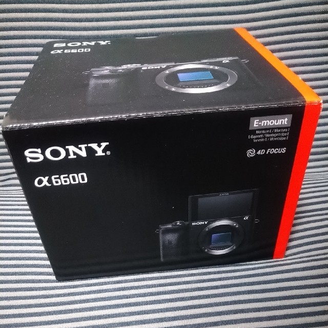 SONY α6600