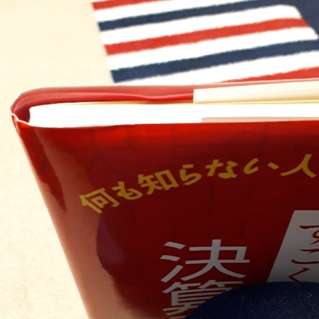 すごくやさしい決算書 何も知らない人のための エンタメ/ホビーの本(ビジネス/経済)の商品写真