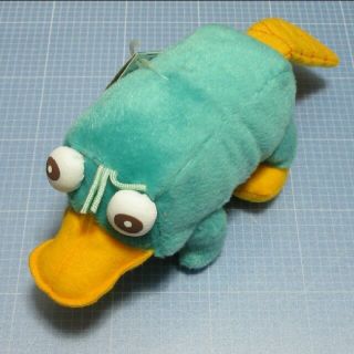 誠実 カモノハシペリーぬいぐるみ - 通販 - trd-chp.com