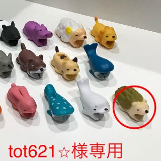 ハリネズミ(その他)