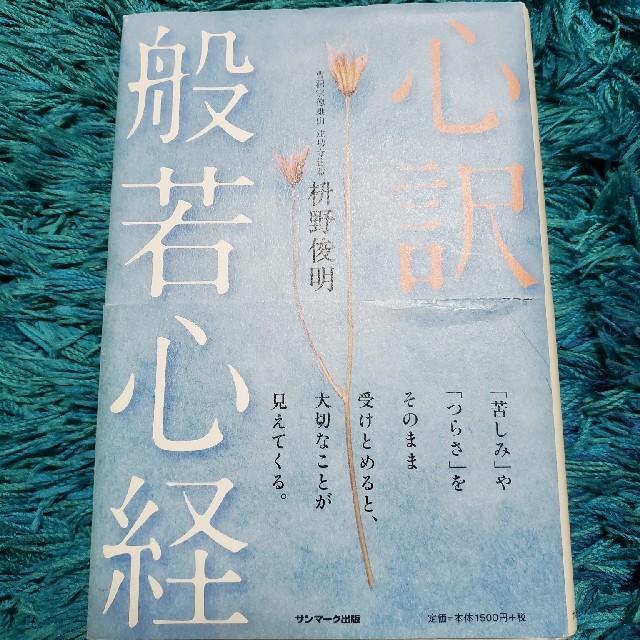 【あいりーさん専用】心訳般若心経 エンタメ/ホビーの本(人文/社会)の商品写真