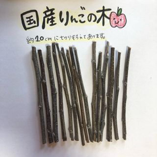 国産りんごの木、かじり木(小動物)