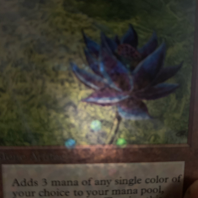 mtg unlimited black lotus  エンタメ/ホビーのトレーディングカード(シングルカード)の商品写真