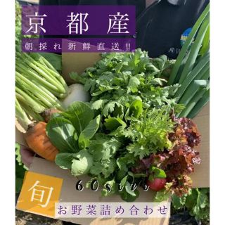 新鮮野菜詰め合わせ！京都 無農薬 減農薬野菜をお届け！(野菜)