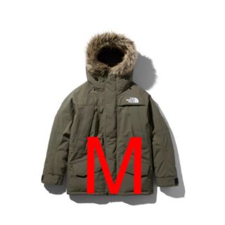 ザノースフェイス(THE NORTH FACE)のアンタークティカパーカ ニュートープ(ダウンジャケット)