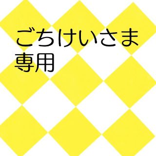 ごちけいさま専用 ナノブロック2点セット(その他)