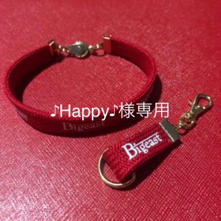 トウホウシンキ(東方神起)の♪Happy♪様専用です。(アイドルグッズ)