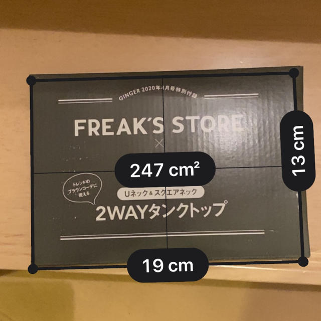 FREAK'S STORE(フリークスストア)のGINGER 2020年4月号　付録☺︎ レディースのトップス(タンクトップ)の商品写真