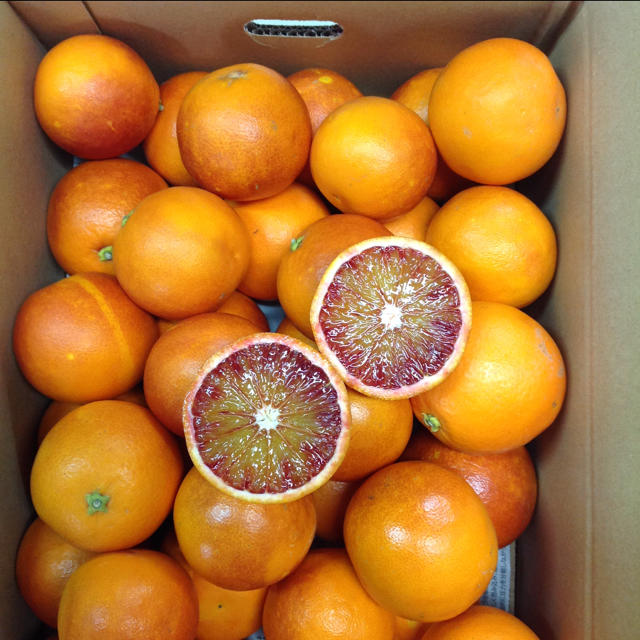 ブラッドオレンジ5kg (箱込み) 食品/飲料/酒の食品(フルーツ)の商品写真