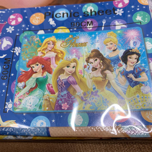 Disney(ディズニー)のラスト☆ プリンセス レジャーシート ブルー ② スポーツ/アウトドアのアウトドア(その他)の商品写真