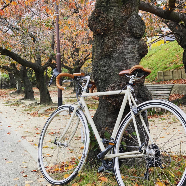 ARAYA Diagonale ロードバイククロモリ