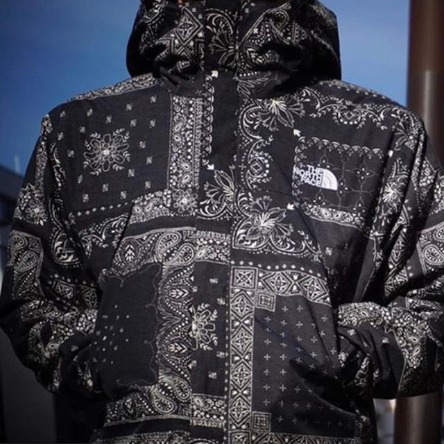 THE North  Face  Novelty Scoop Jacket