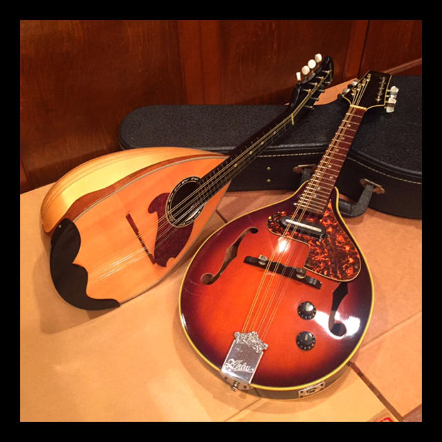 マンドリン 2本 セット ハードケース付属 中古 楽器の弦楽器(マンドリン)の商品写真
