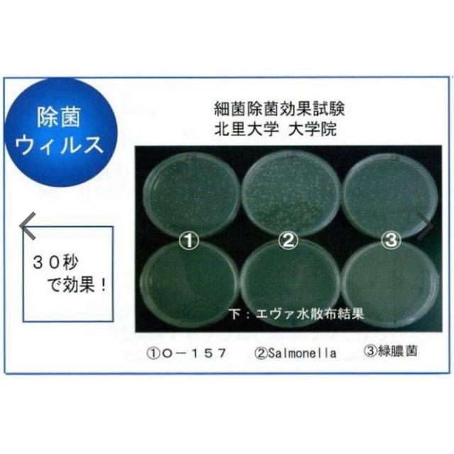 今の時期必須‼︎ エヴァミスト キュア 次亜塩素酸対応噴射器 EV-3