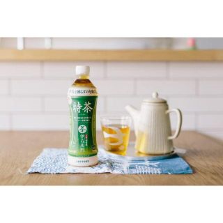 Myuさん専用　サントリー 特茶 500ml（特保）2箱(茶)