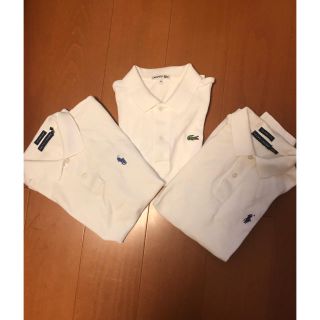 ラルフローレン(Ralph Lauren)の早い者勝ち！ラルフローレン　ラコステ　ポロシャツ3枚セット(ポロシャツ)