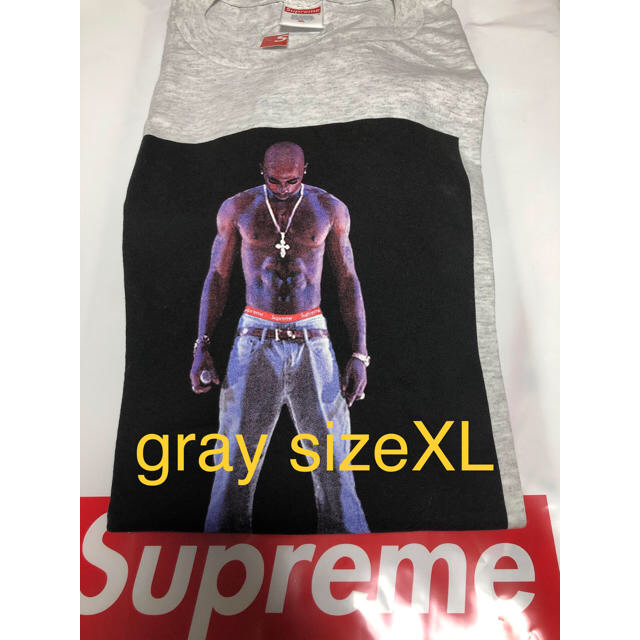 Supreme tupac hologram gray