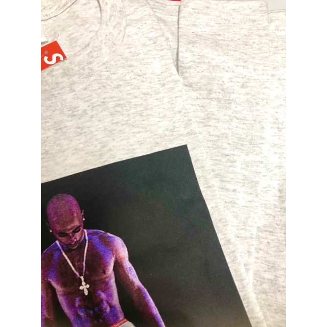 Supreme tupac hologram gray