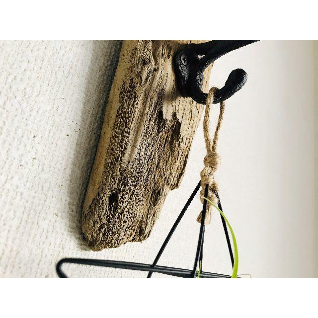 流木のお洒落なホルダー✧壁掛けフック⁎✧✧プランター✧エアプランツ✧インテリア ハンドメイドのフラワー/ガーデン(プランター)の商品写真