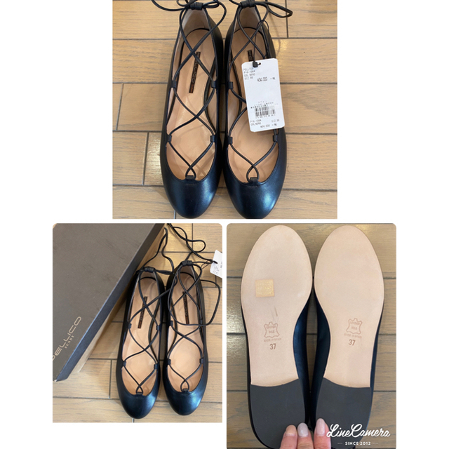 PELLICO(ペリーコ)の新品未使用✳︎¥36800ペリーコサニー　38 レースアップパンプス✳︎ イエナ レディースの靴/シューズ(バレエシューズ)の商品写真