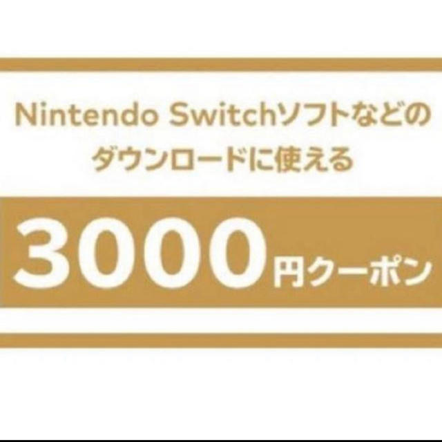 ニンテンドー Switch 3000円クーポン　5枚セット