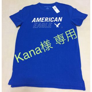 アメリカンイーグル(American Eagle)のアメリカンイーグル グラフィックT(Tシャツ/カットソー(半袖/袖なし))