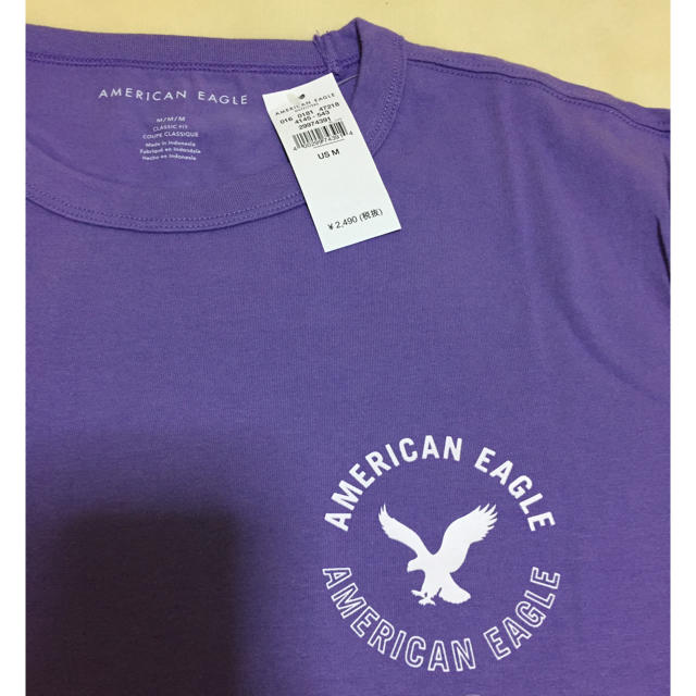 American Eagle(アメリカンイーグル)のアメリカンイーグル グラフィックT メンズのトップス(Tシャツ/カットソー(半袖/袖なし))の商品写真