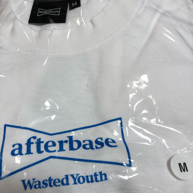 wasted youth afterbase