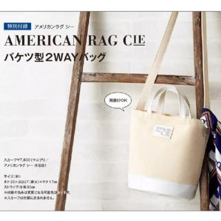 アメリカンラグシー(AMERICAN RAG CIE)のAmerican RAG Cie バケツ型2wayタイプ(ショルダーバッグ)