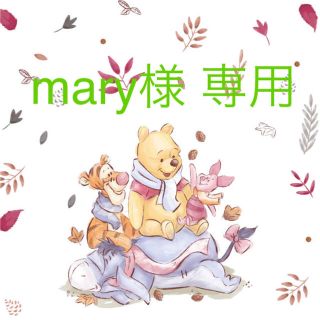 ❤︎ mary様 専用 ❤︎(キャラクターグッズ)