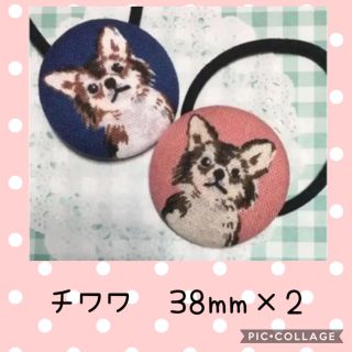 おすましワンちゃん 犬柄 くるみボタン ヘアゴム 38mm×2 チワワ⑤(ヘアアクセサリー)