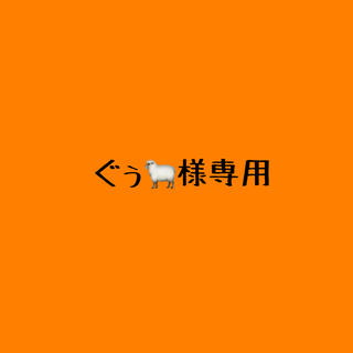 ぐぅ🐑様専用ページ(その他)