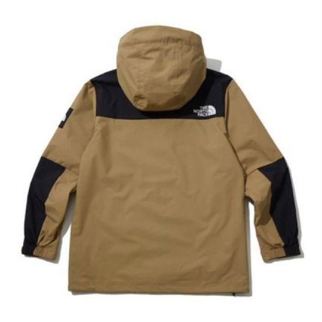 THE NORTH FACE(ザノースフェイス)のノースフェイス ダルトン アノラック マウンテンパーカー XXLサイズ メンズのジャケット/アウター(マウンテンパーカー)の商品写真