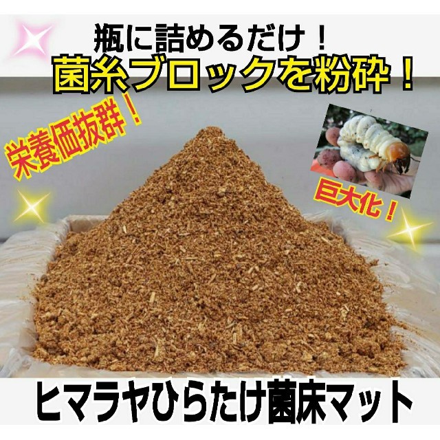 菌糸ブロック粉砕！ヒマラヤひらたけマット☆クワガタ幼虫が巨大化します！栄養価抜群