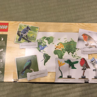 レゴ アイデア 世界の鳥 21301の通販 by taiki0634's shop｜ラクマ