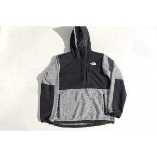 ザノースフェイス(THE NORTH FACE)のthe north face 19AW denali jacket L(パーカー)