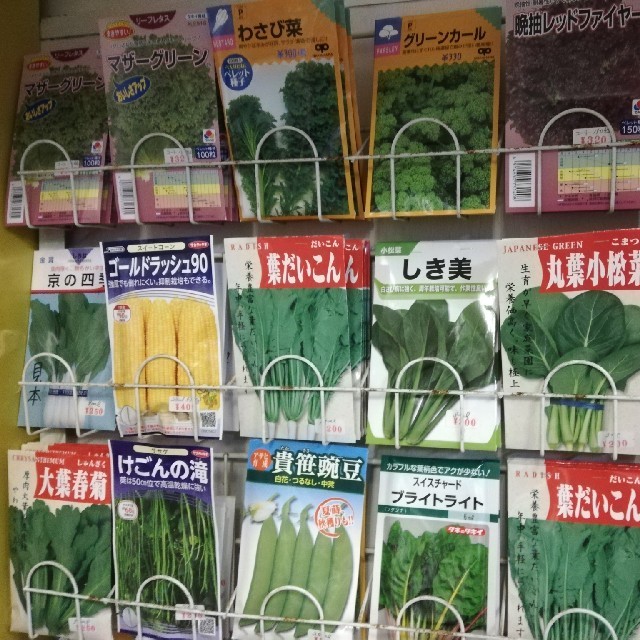 野菜の種(新種)18種類