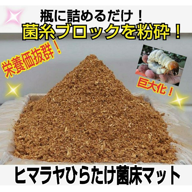 菌糸ブロック粉砕！ヒマラヤひらたけマット☆クワガタ幼虫が巨大化します！栄養価抜群