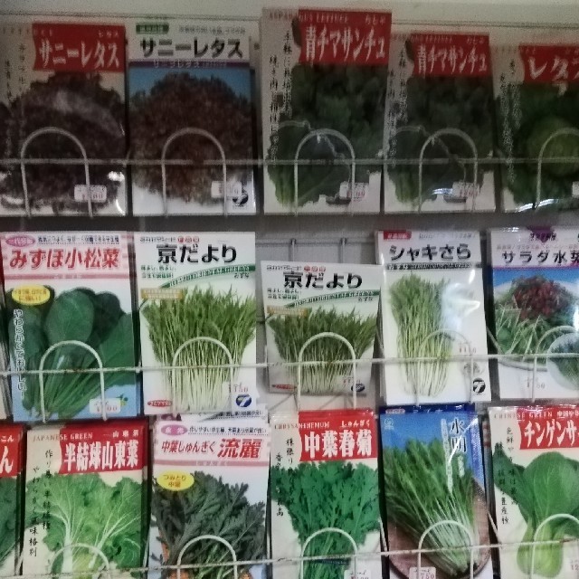 野菜の種(新種)18種類