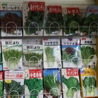 野菜の種(新種)18種類