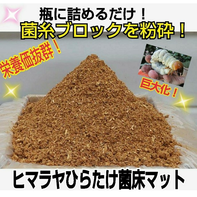 菌糸ブロック粉砕！ヒマラヤひらたけマット☆クワガタ幼虫が巨大化します！栄養価抜群