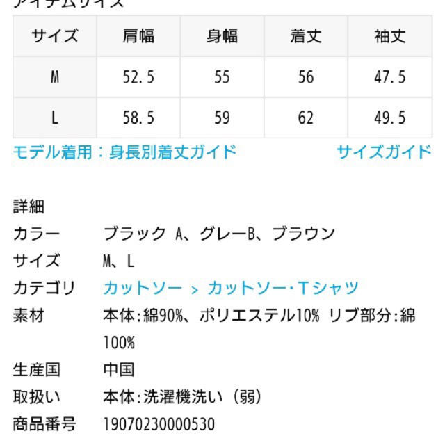 FRAMeWORK(フレームワーク)のFRAMeWORK【Champion】別注クルーネックプルオーバー レディースのトップス(トレーナー/スウェット)の商品写真