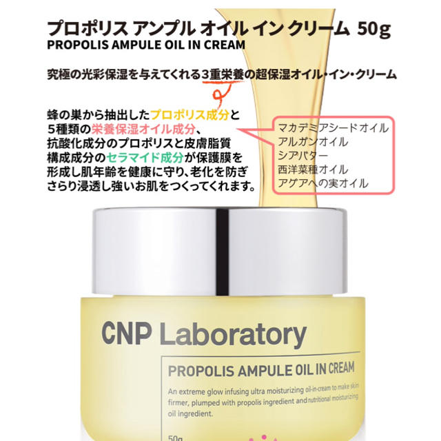 CNP(チャアンドパク)のニョッキ様専用　CNP プロポリスアンプルオイルインクリーム50g コスメ/美容のスキンケア/基礎化粧品(フェイスクリーム)の商品写真